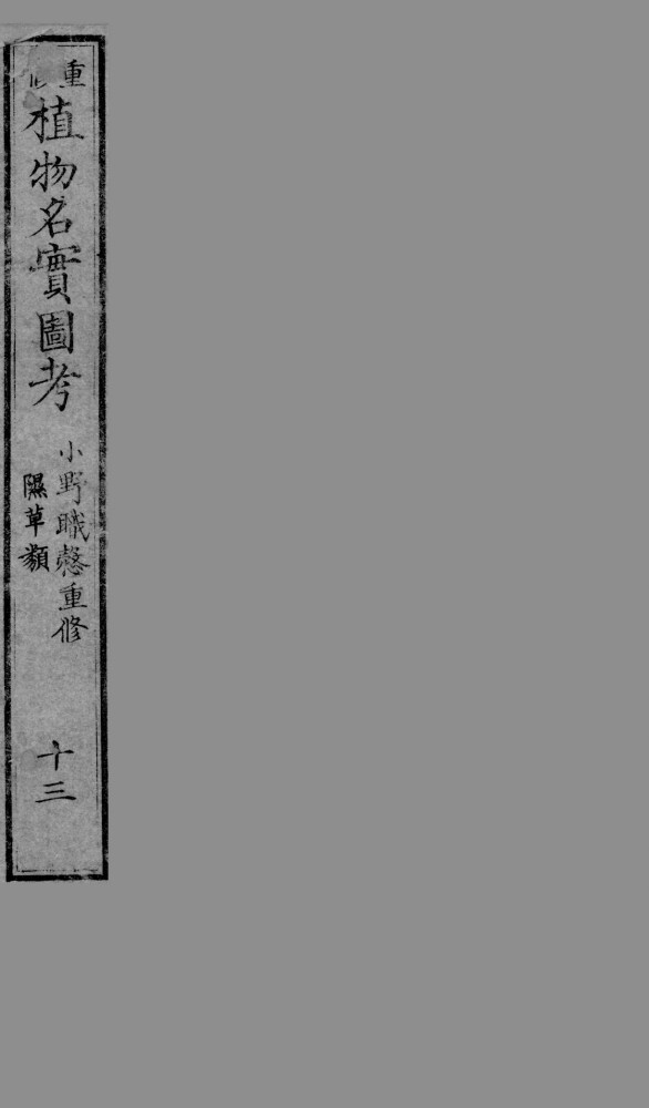 植物名实图考  13